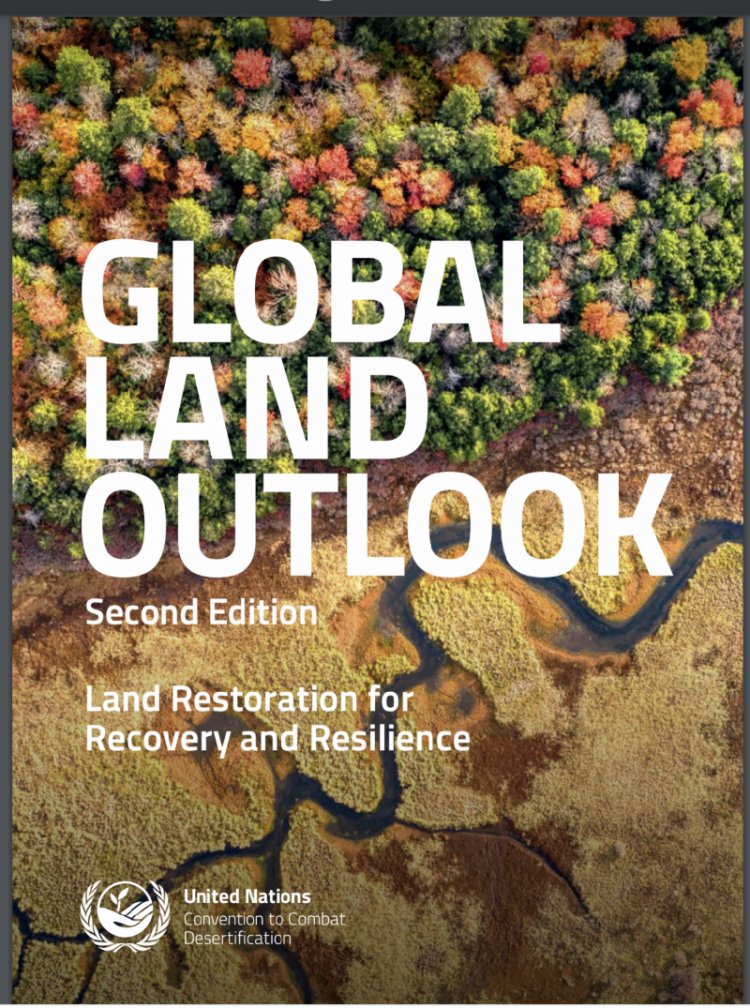Up to 40% of the planet’s land is degraded, threatens roughly half of global GDP: UNCCD report