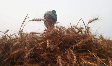 Time to shift to Climate Resistant Agriculture; ICAR template needs fast follow-up