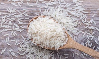 Adani Wilmar strengthens its position in Basmati segment, buys Kohinoor brand portfolio