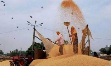 Govt asks traders to compulsorily provide wheat stock info