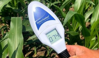 Using right technique can lead to saving of fertilizers