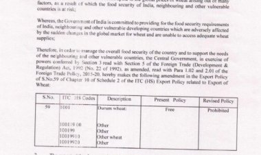 Govt prohibits wheat export — an exercise in reining in prices
