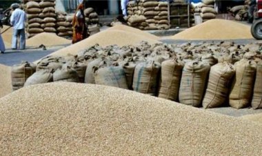 Govt announces relaxation in wheat export notification; allows wheat consignment already registered with Customs prior to May 13 order