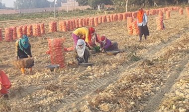 Let's manage our potato and onion; we can do better than others in inflation control