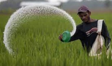 Fertilizer subsidy may go up to Rs 2.15 lakh crore due to increase in prices