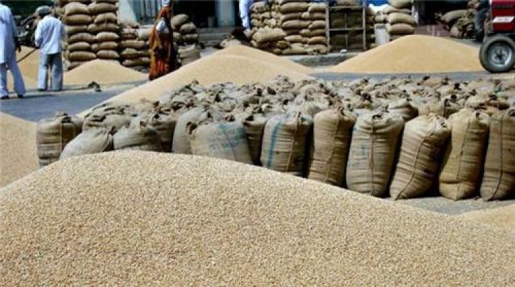 FCI sells 9.2 LMT wheat in two days of e-auction