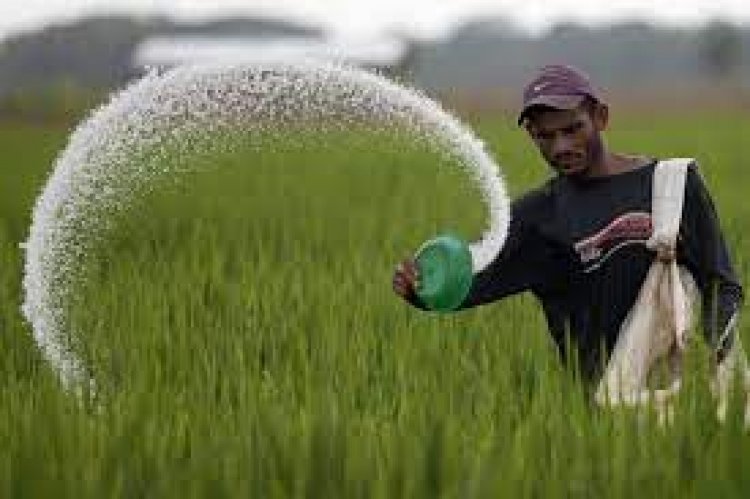 Fertilizer subsidy may go up to Rs 2.15 lakh crore due to increase in prices