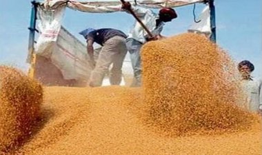 11.88 lakh tonne wheat offered in 5th auction by FCI but sold 5.39 lakh tonne