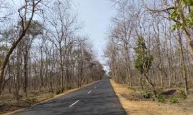 BRLF to work with HDC to improve HDI in Vidarbha