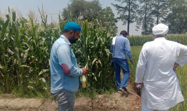 Gram Unnati brings climate-compatible agriculture to over 5,000 acres in Uttarakhand; helps save 4,000 litres of water per acre