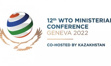 Issues of PSH of foodgrains and subsidies challenge for India at MC12; opposition even from old allies