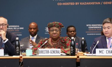 No discussion at WTO about PSH and agriculture subsidy that are crucial for India