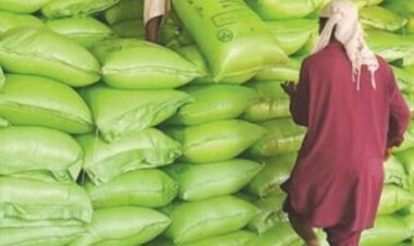 Urea prices go down by up to 45 per cent in global market due to fall in demand