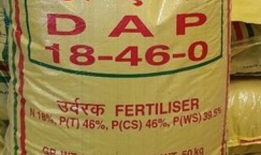 Morocco’s OCP Group holds key to DAP prices; China returns to fertilizer exports market