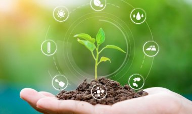 From Soil to Software: How AI is Redefining the Future of Farming