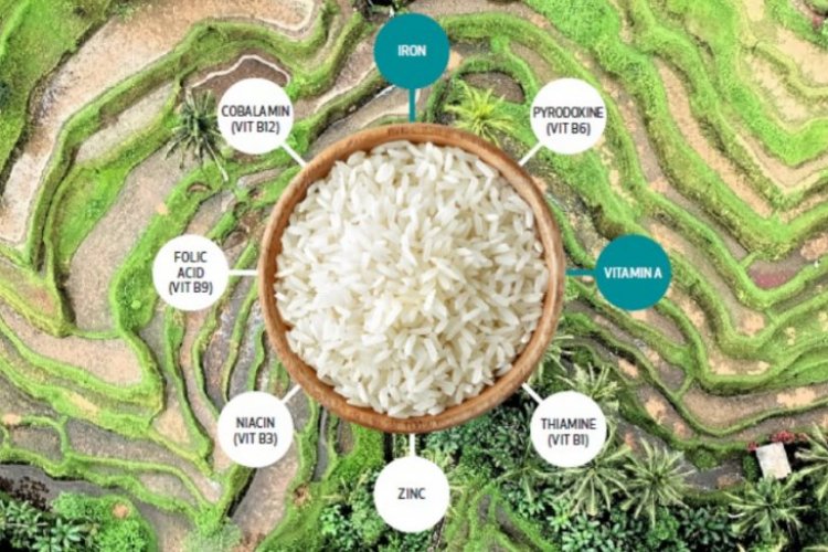 Fortified rice distributed through ration shops in 90 districts out of ...