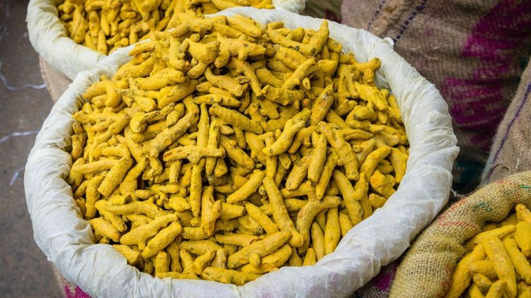 Turmeric to change fortunes of farmers in Kushinagar