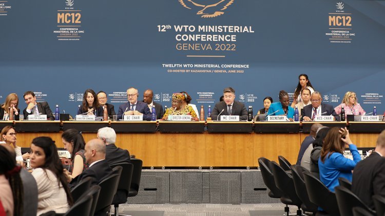 When the world was desperately looking for relief, the WTO was found wanting: Piyush Goyal