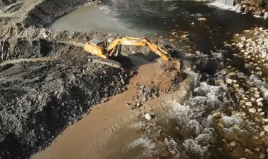 Decisions based on narrow set of market values of nature underpin global biodiversity crisis