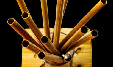 Climate Angels-backed Sunbird Straws rolls out leaf straws as alternative to single-use plastic straws