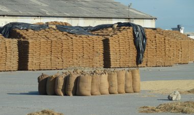 Withdrawal of GST exemption on fumigation of agri produce in warehouses be reconsidered: NBHC