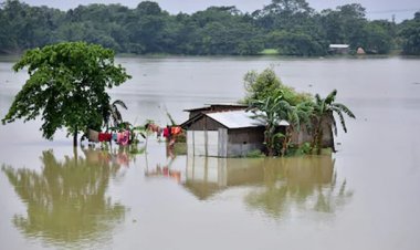 Walmart Foundation, Flipkart Foundation extend support to Assam for flood relief