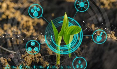 Piatrika Biosystems raises $1.2mn in seed funding led by Ankur Capital to build a platform for discovery of new sustainable crop varieties