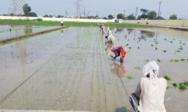 Rainfall deficit of 42-53 per cent in several states may adversely affect foodgrain production in Kharif season