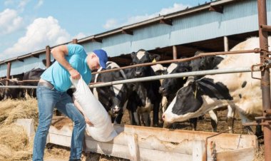 Widespread opposition to reduction target of GHG emissions from agriculture in Ireland and Canada