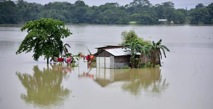 Walmart Foundation, Flipkart Foundation extend support to Assam for flood relief