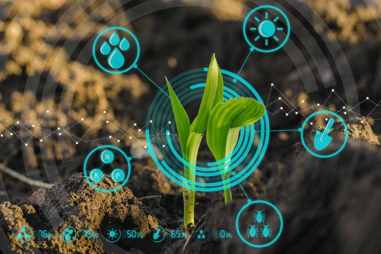 Piatrika Biosystems raises $1.2mn in seed funding led by Ankur Capital to build a platform for discovery of new sustainable crop varieties