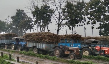 Due to non-availability of sugarcane, sugar mills start closing early in UP, Uttarakhand