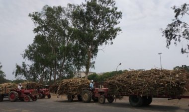 Govt should reconsider fixation of FRP for sugarcane, current decision a joke on farmers: RKMS