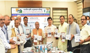 NRCE in collaboration with IVRI makes Lumpi-ProVacInd vaccine to protect livestock from lumpy skin disease