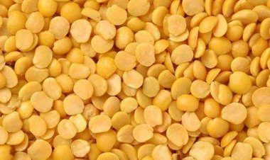 Stockholders to mandatorily disclose stocks of Tur: Centre to States/UTs