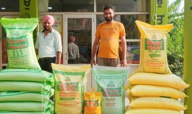 Global prices of DAP come down to $860; phosphoric acid prices likely to touch $1,500