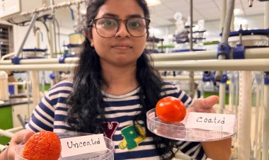 Edible coating developed to prolong life of vegetables and fruits