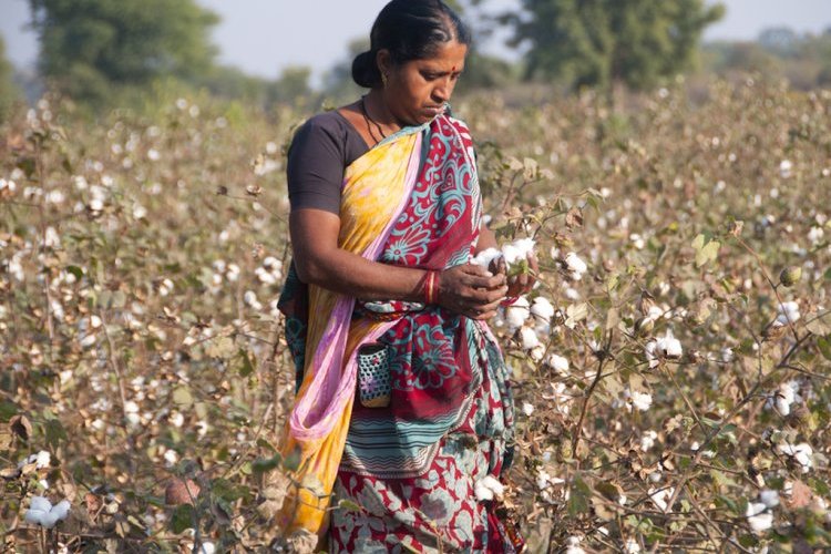 Revised specifications to be finalized in 30 days for contracts of