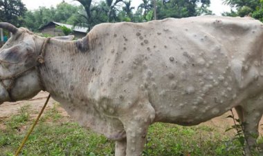 Commercial production of indigenous vaccine developed by ICAR that provides complete protection against LSD to start in 4-5 months