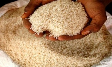 Centre allows export of 14,000 tonnes of non-Basmati rice to Mauritius