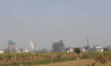 Govt likely to restrict sugar exports to 50 lt due to less production in UP; notification to be issued soon