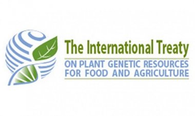 Session on crop diversity to be held in Delhi Sep 19-24; representatives from 202 countries to attend