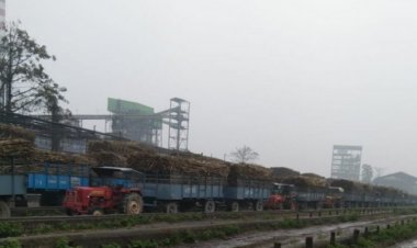 Sugar production estimated at 317 lakh tonnes in 2023-24, prices to remain high