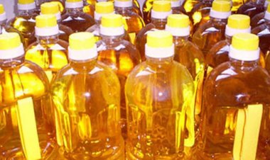 India to lead the way towards a sustainable palm oil industry: RSPO