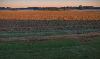 Corteva Agriscience brings its Climate Positive Leaders Program to India