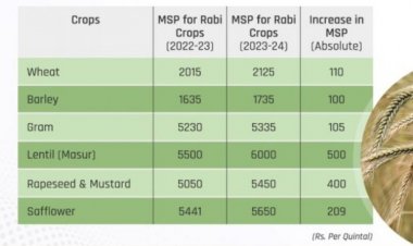 MSP for Rabi crops up by Rs 100-500; wheat MSP up by Rs 110 per quintal