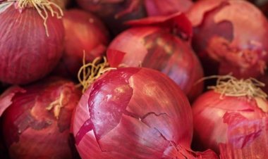 Mother Dairy's Safal outlets to sell buffer onion at Rs 25/kg