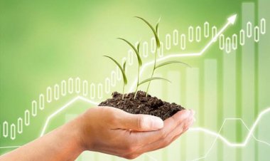 National level multi-state seed coop mooted to plant seeds of prosperity