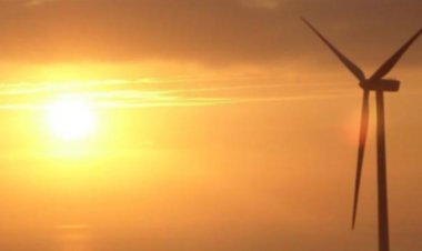 Investment to tackle climate change falls amid global crises, shows UNCTAD report