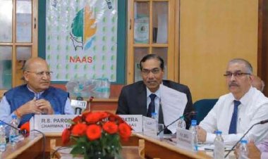 ICAR can conduct field demo, trial of GM mustard this Rabi season